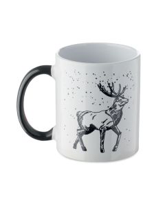 FESTIMUG