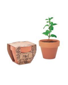 MINT POT