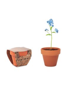 FORGET ME NOT