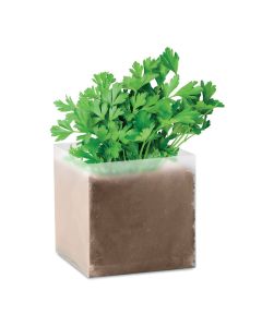 PARSELY